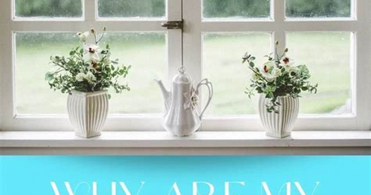 Why Do Andersen Windows Sweat?