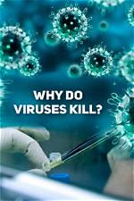 Why Do Androids Get Viruses?