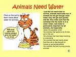 Why Do Animals Need Water?