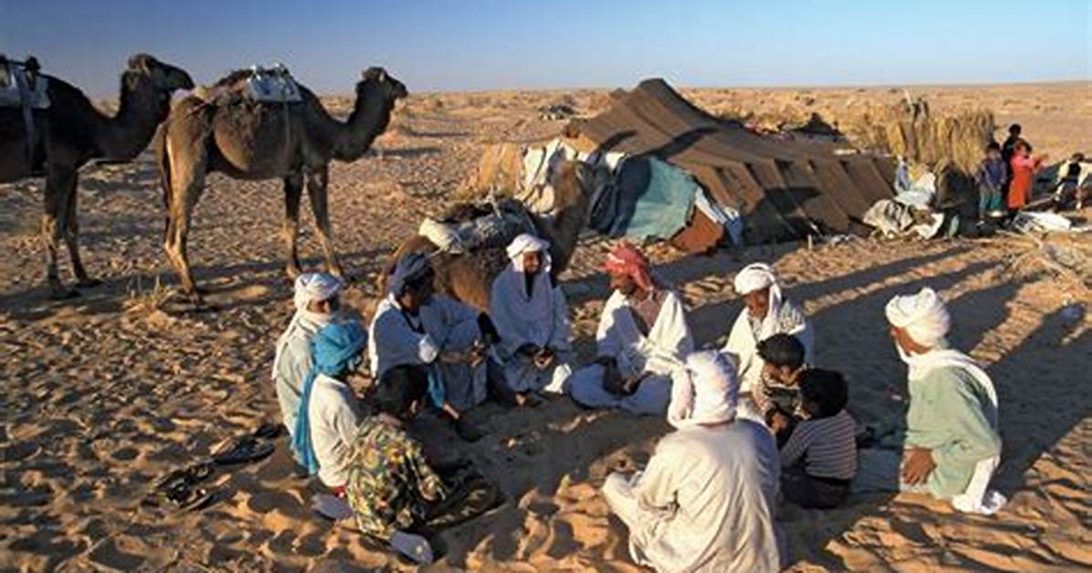 Why Do Bedouins Migrate?