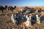 Why Do Bedouins Migrate?