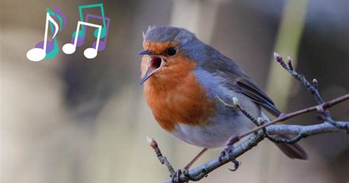 Why Do Birds Sing?