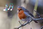 Why Do Birds Sing?