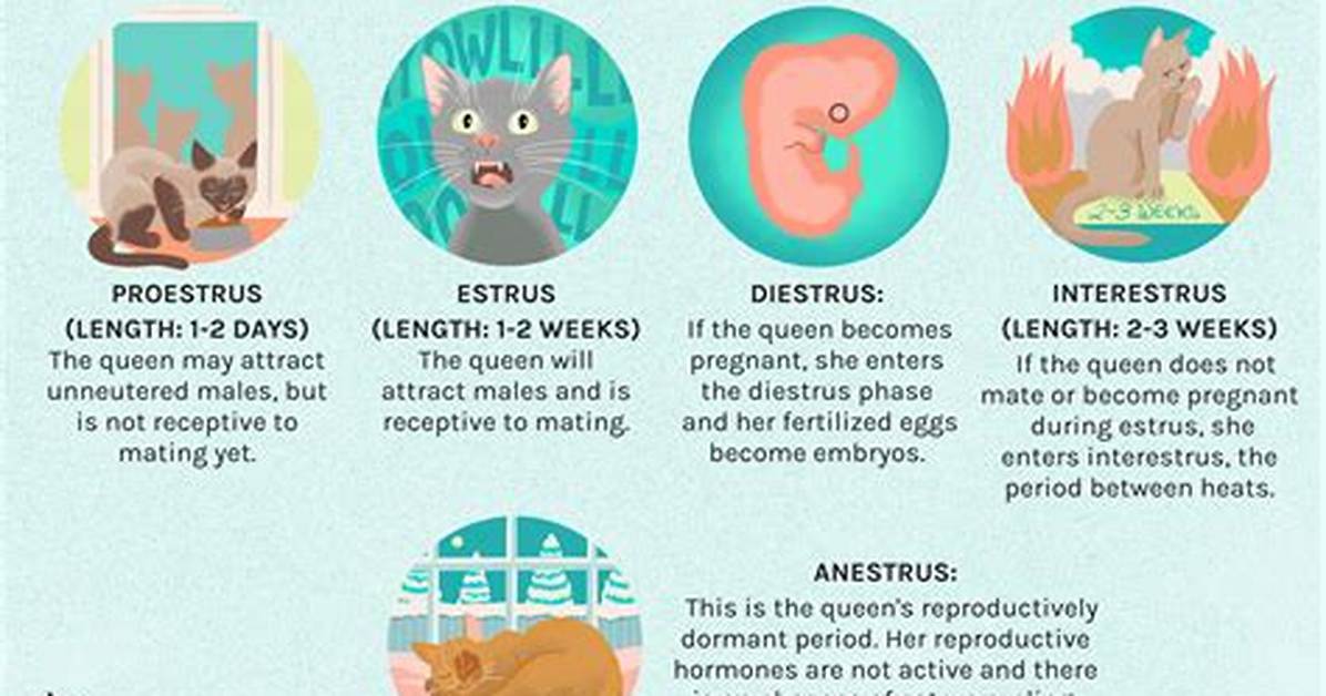 Why Do Cats Trample?
