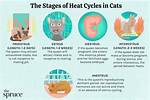 Why Do Cats Trample?