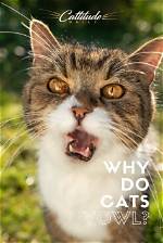 Why Do Cats Yowl?