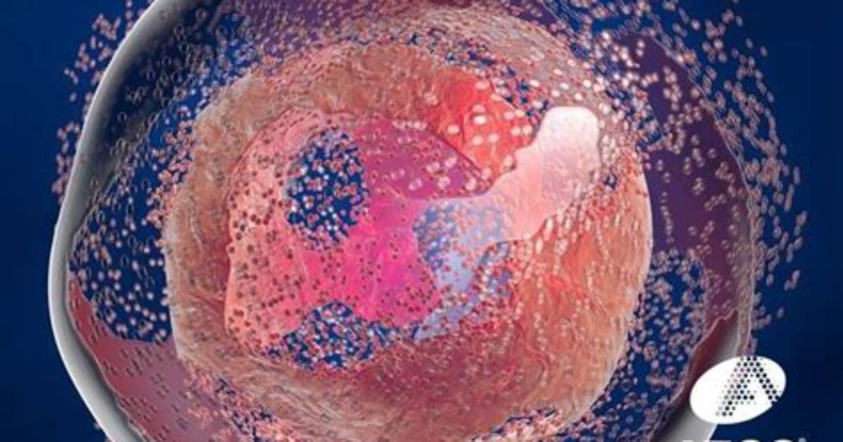 Why Do Cells Self Destruct?
