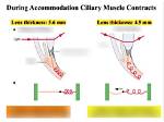 Why Do Ciliary Muscles Contract?