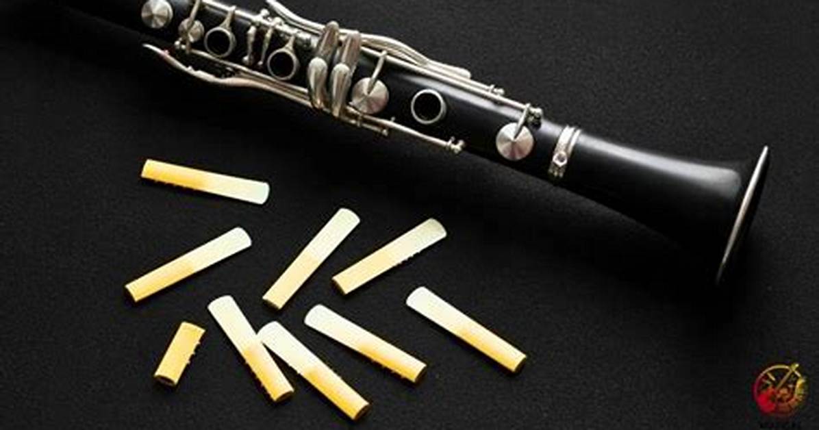 Why Do Clarinets Squeak?