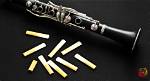 Why Do Clarinets Squeak?