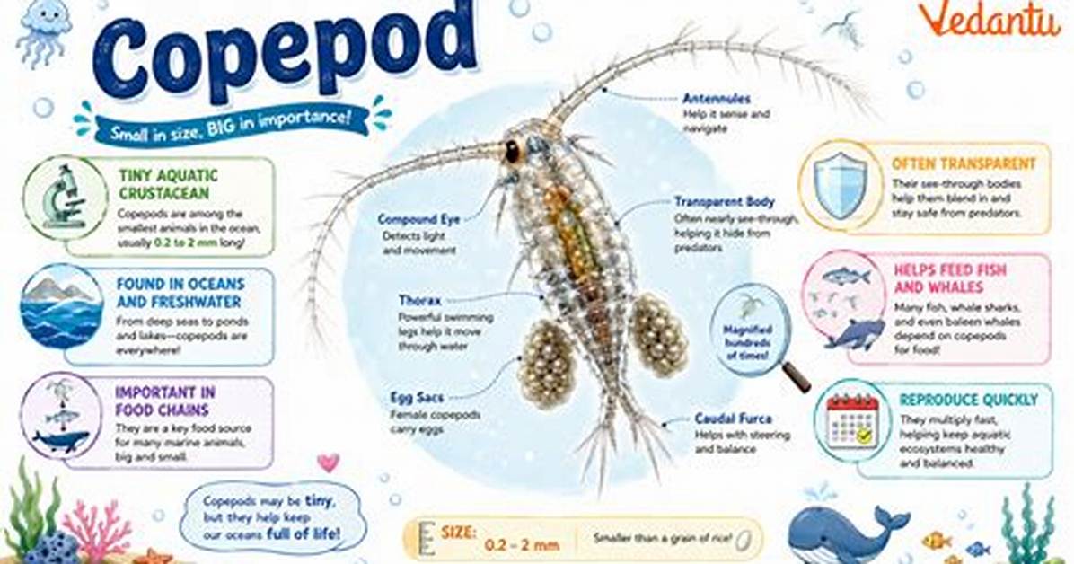 Why Do Copepods Jump?