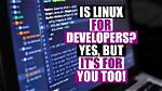 Why Do Developers Prefer Linux?