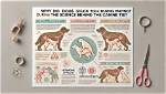 Why Do Dogs Drawl?