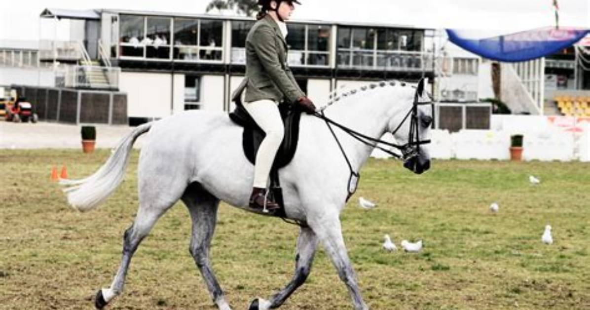 Why Do Equestrians Post?