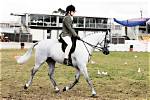 Why Do Equestrians Post?
