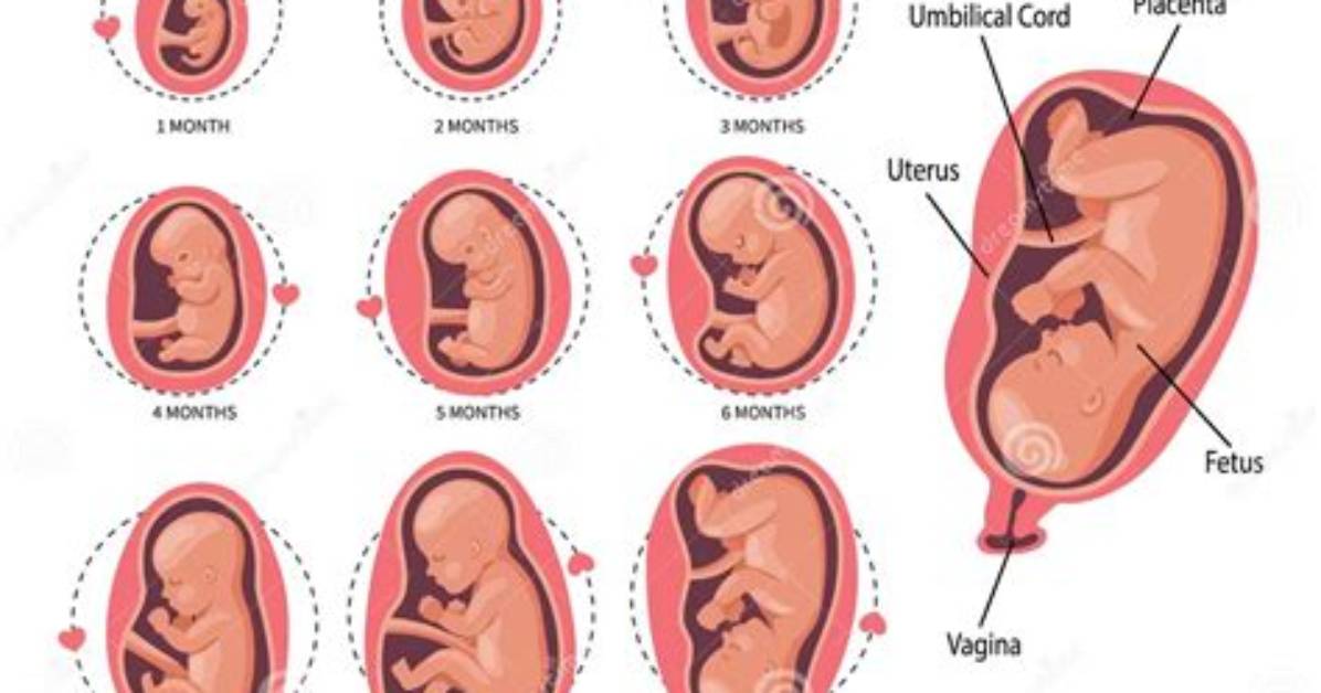 Why Do Foetus Kick?