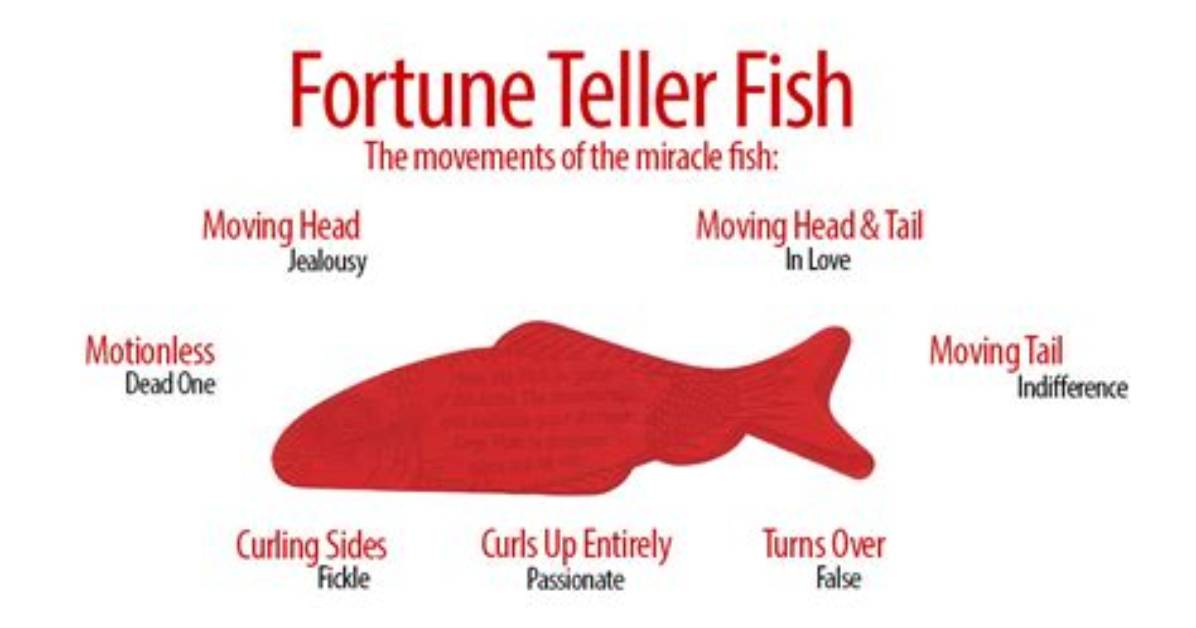 Why Do Fortune Teller Fish Work?