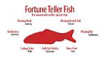 Why Do Fortune Teller Fish Work?