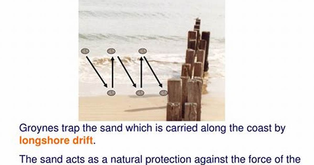 Why Do Groynes Work?