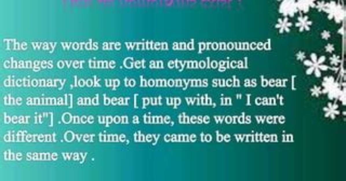 Why Do Homonyms Exist?