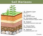 Why Do Horizons Form?