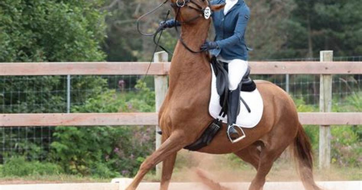 Why Do Horses Spook?