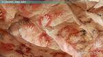 Why Do Humans Do Art?
