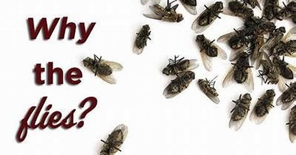 Why Do I Keep Finding Dead Flies