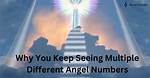 Why Do I Keep Seeing Multiple Different Angel Numbers in One Day?