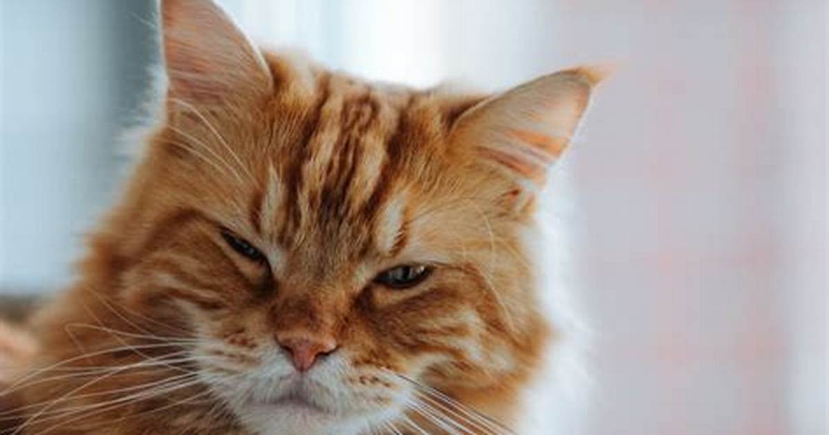 Why Do I Keep Winking?
