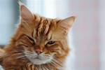 Why Do I Keep Winking?