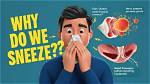 Why Do I Sneeze?