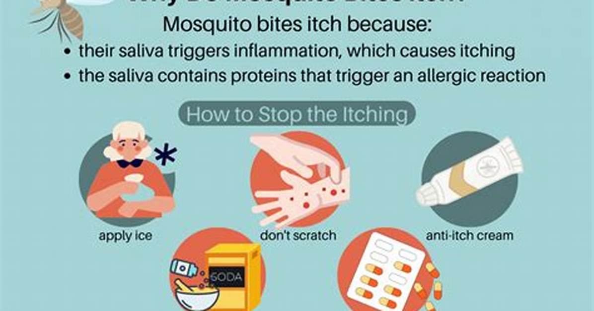 Why Do Insect Bites Itch?