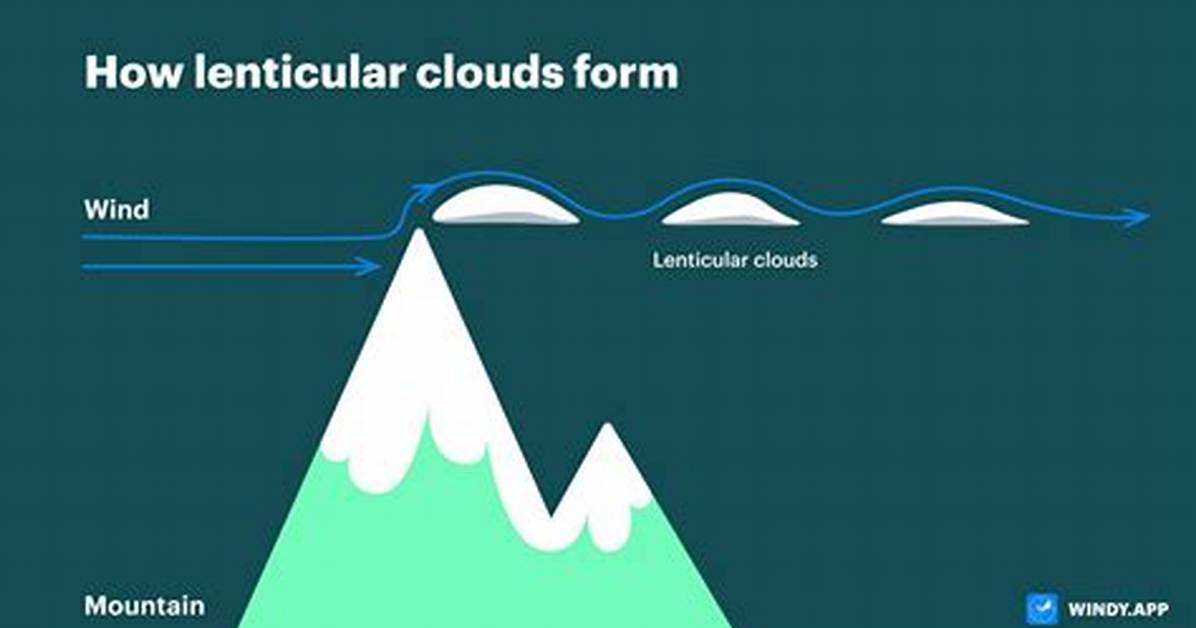 Why Do Lenticular Form?