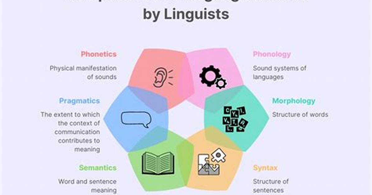 Why Do Linguists Study Language?