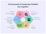 Why Do Linguists Study Language?