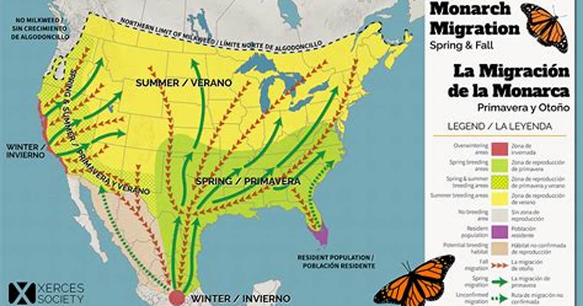 Why Do Monarchs Migrate?