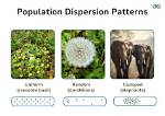 Why Do Organisms Overpopulate?