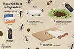 Why Do People Keep Ants