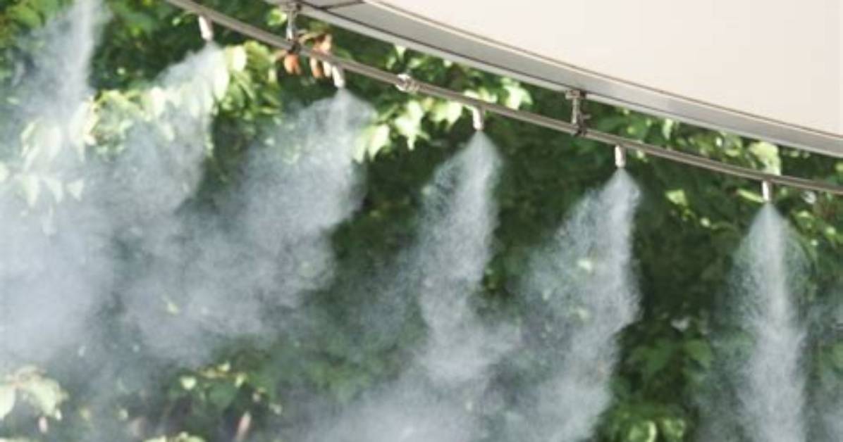 Why Do Plants Need Misting?