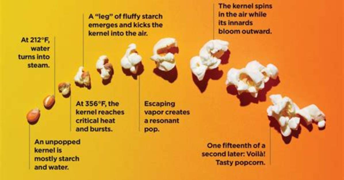Why Do Popcorn Kernels Pop?