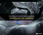Why Do Pregnancies Fail?