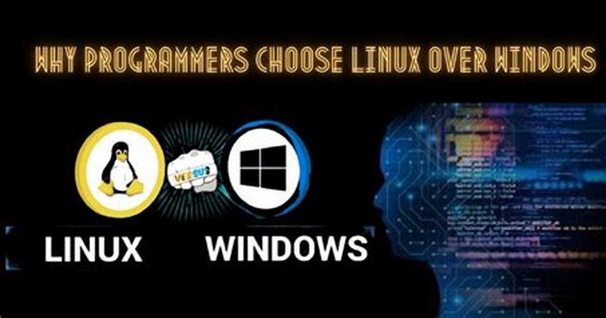 Why Do Programmers Prefer Linux?