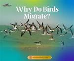 Why Do Redwings Migrate?