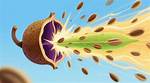 Why Do Seed Pods Explode
