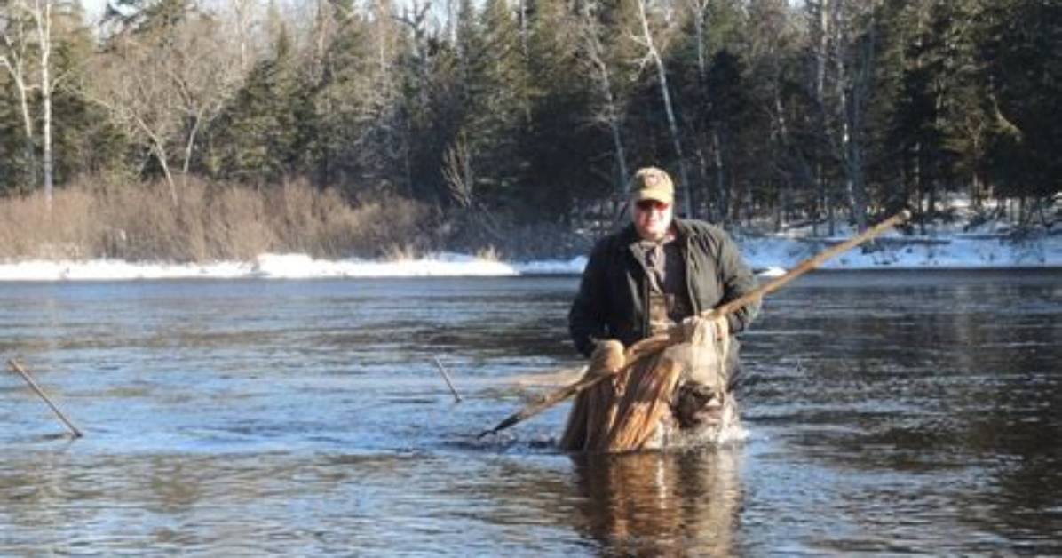 Why Do Smelts Run?