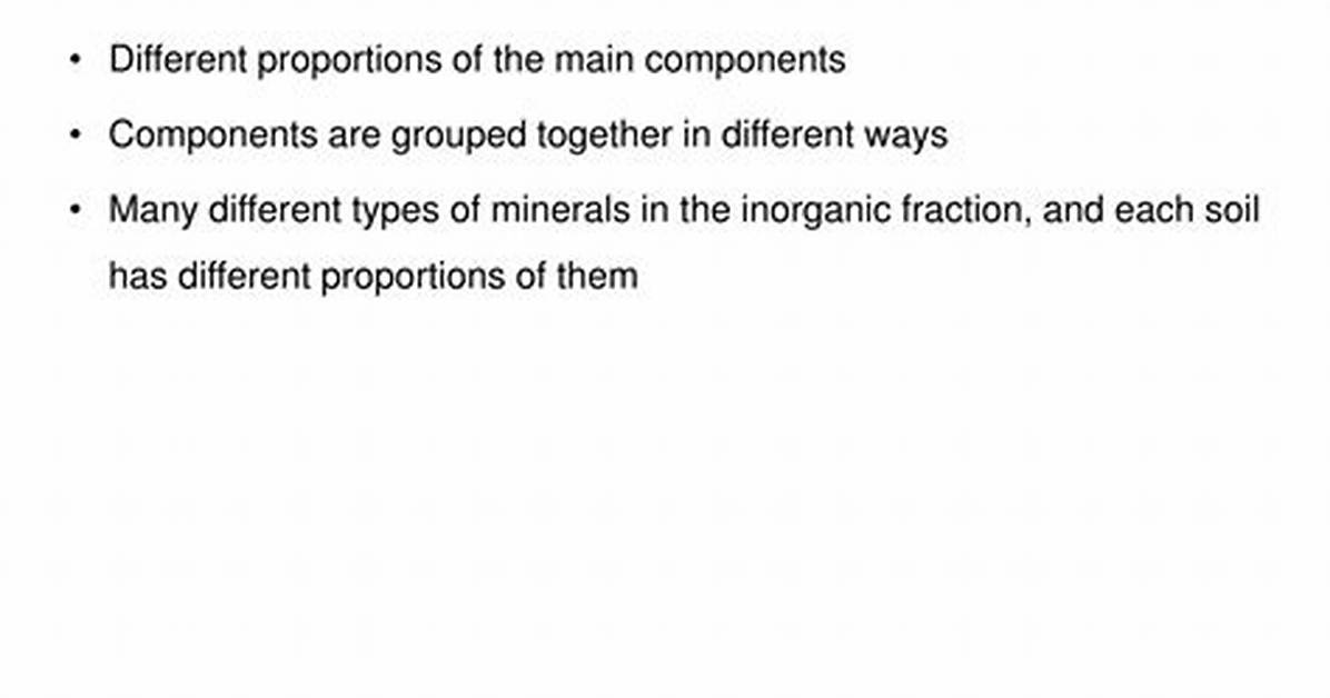 Why Do Soils Differ