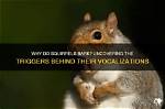 Why Do Squirrels Bark?