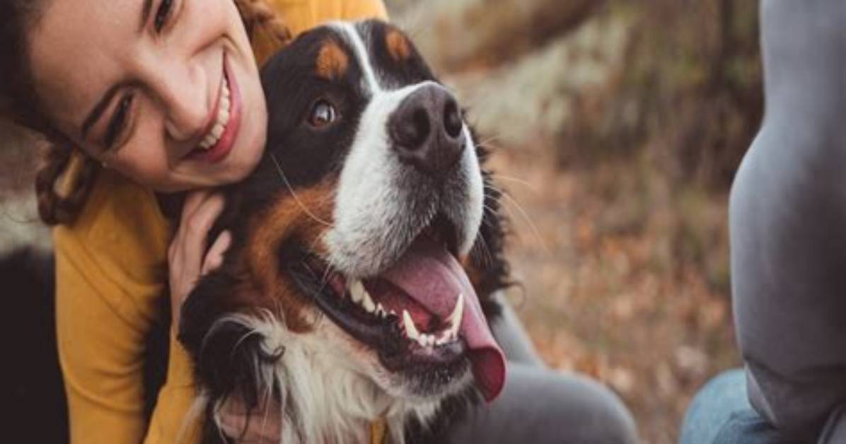 Why Do They Put Down Dogs?