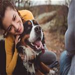 Why Do They Put Down Dogs?